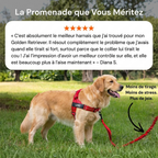 AnimoPaw Harnais anti-tirage