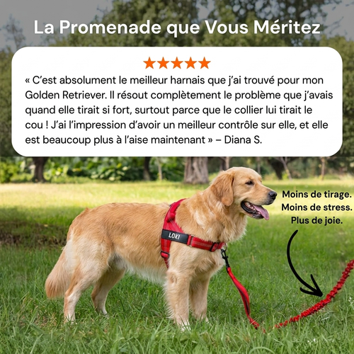 AnimoPaw Harnais anti-tirage