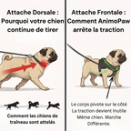 AnimoPaw Harnais anti-tirage