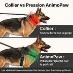 AnimoPaw Harnais anti-tirage