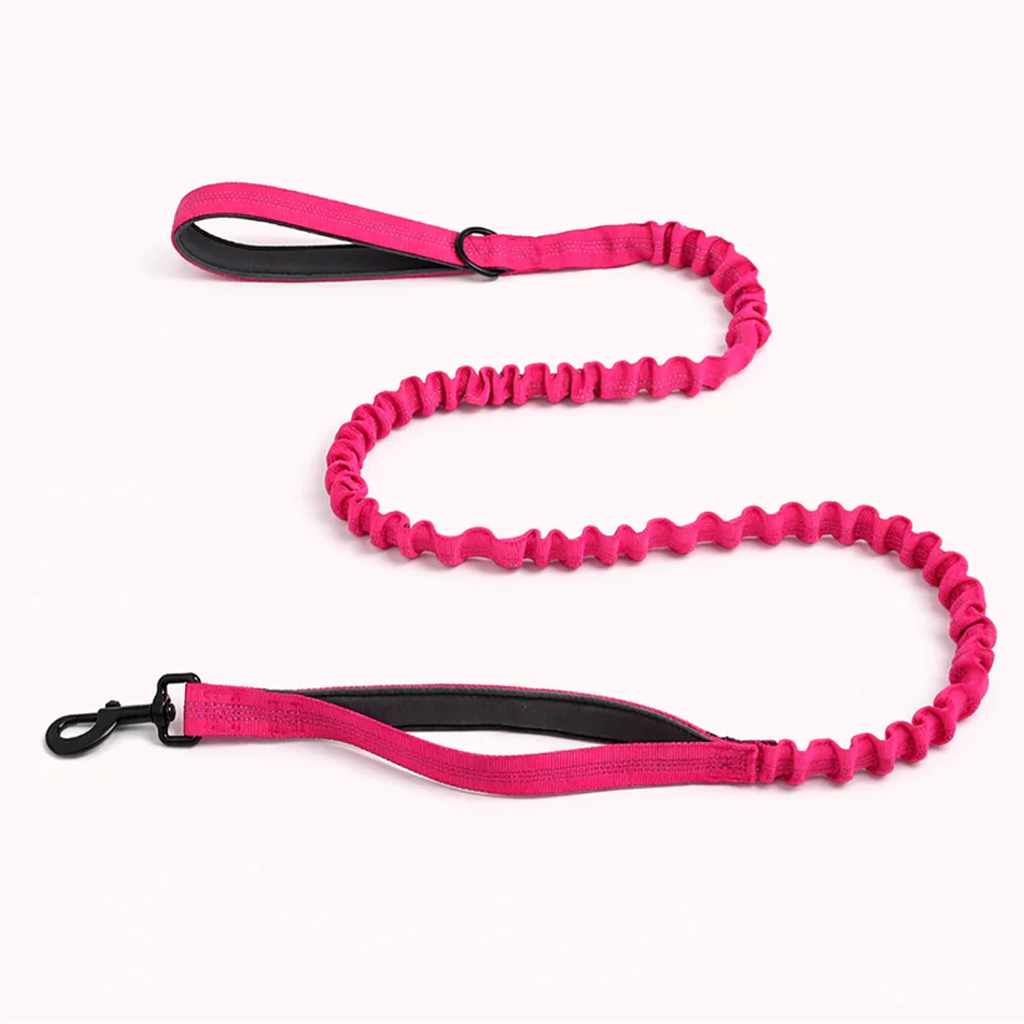 AnimoPaw Laisse élastique Chien