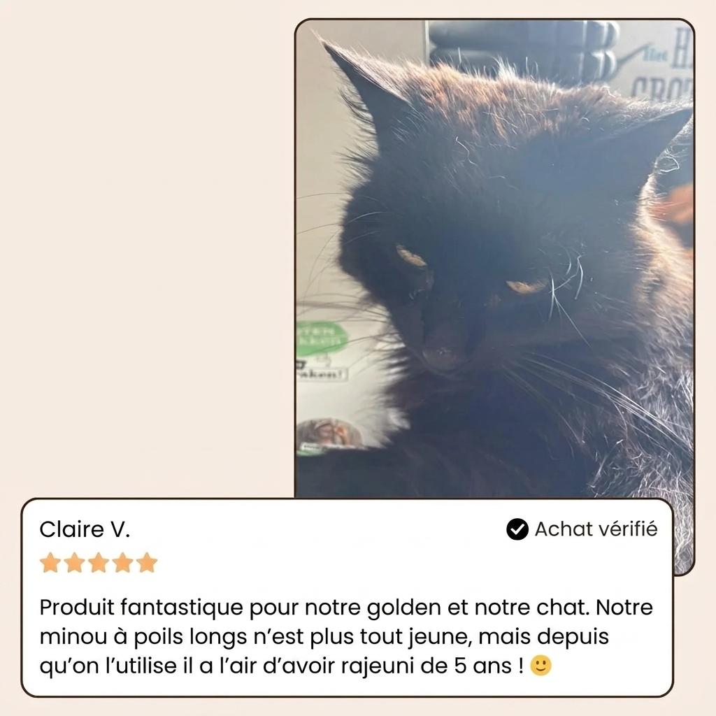 VapoBrosse AnimoPaw® | Brosse de Toilettage Professionnelle pour Animaux de Compagnie