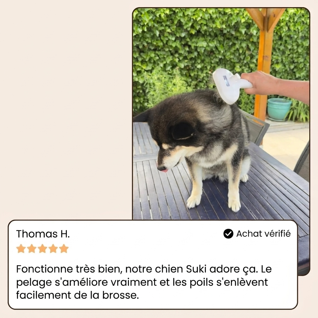 VapoBrosse AnimoPaw® | Brosse de Toilettage Professionnelle pour Animaux de Compagnie